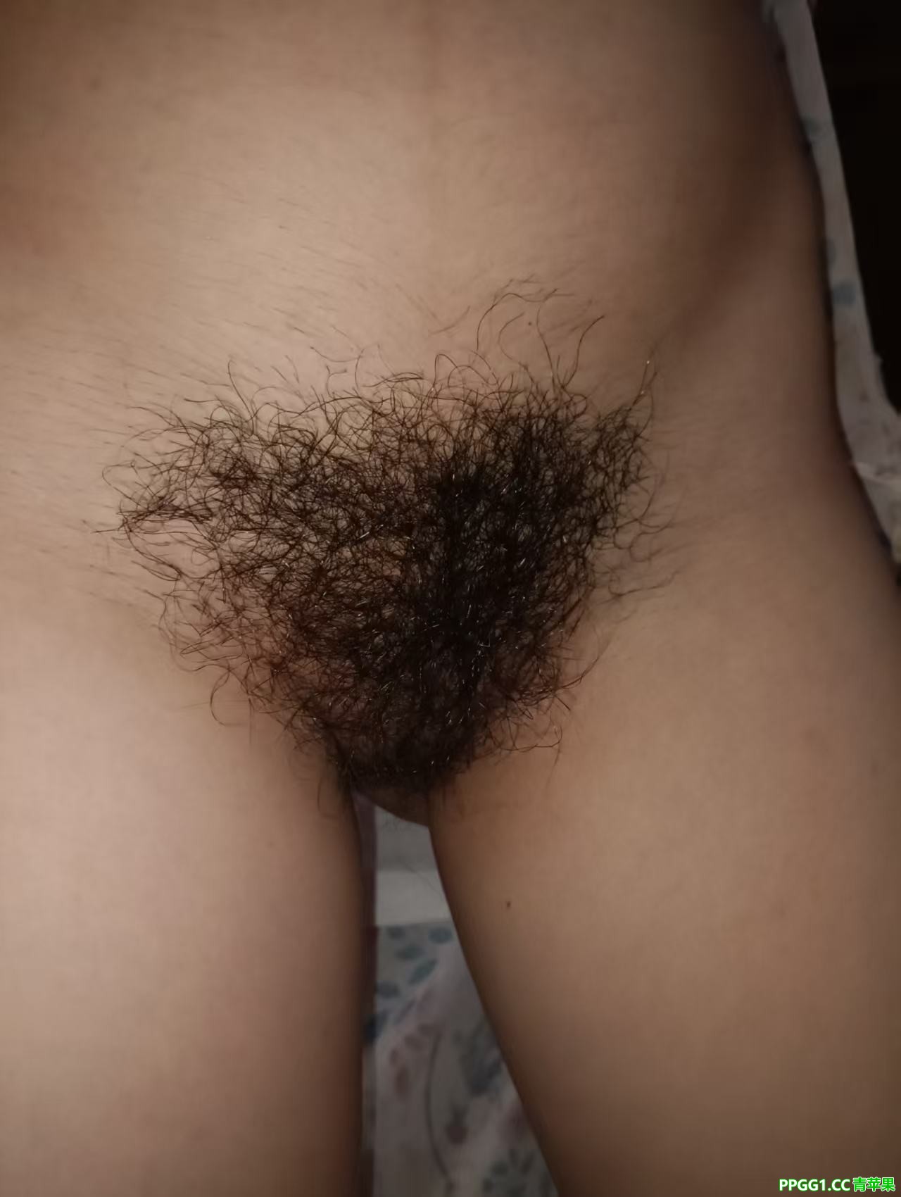 老婆的骚逼毛特别多特别吸引人